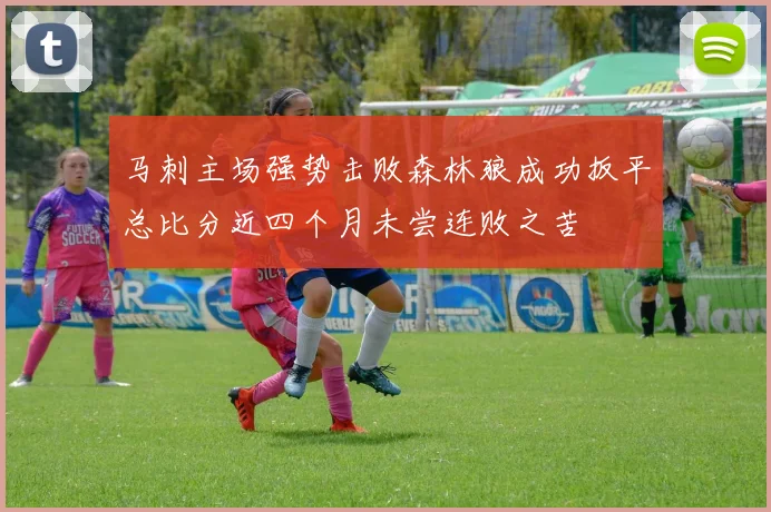 马刺主场强势击败森林狼成功扳平总比分近四个月未尝连败之苦