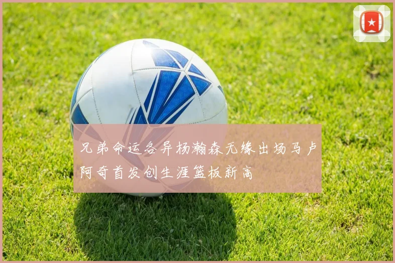兄弟命运各异杨瀚森无缘出场马卢阿奇首发创生涯篮板新高